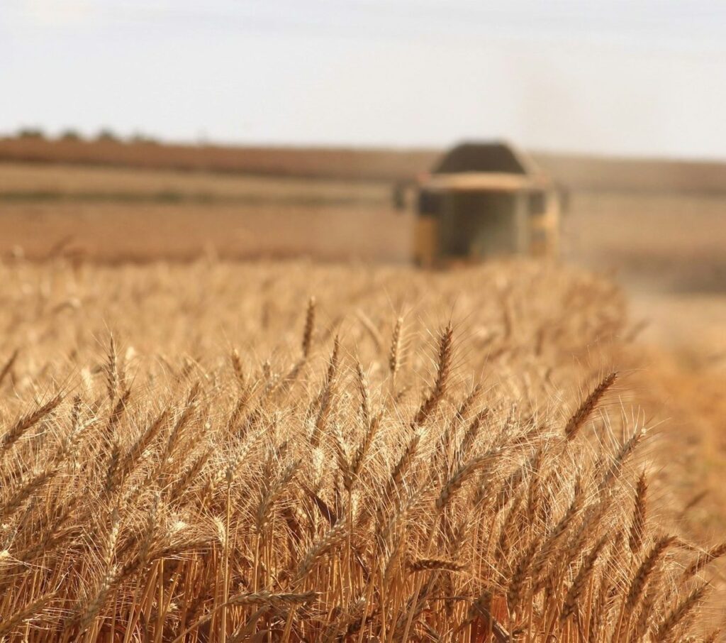 meric-tuna-CE1OvMrZumQ-unsplash